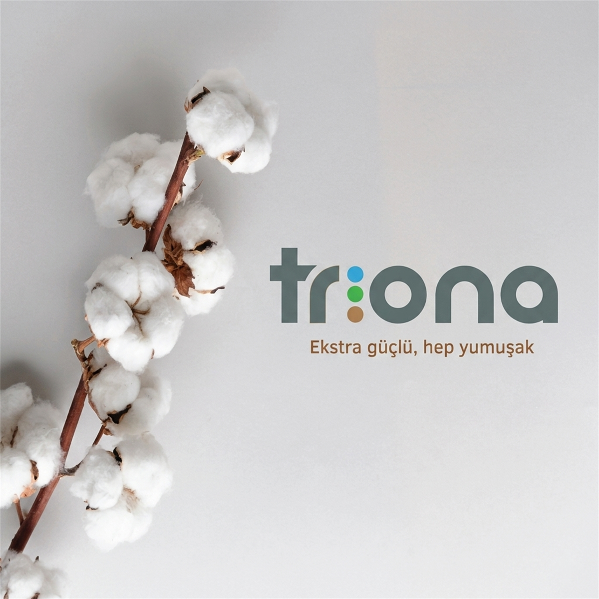 Triona